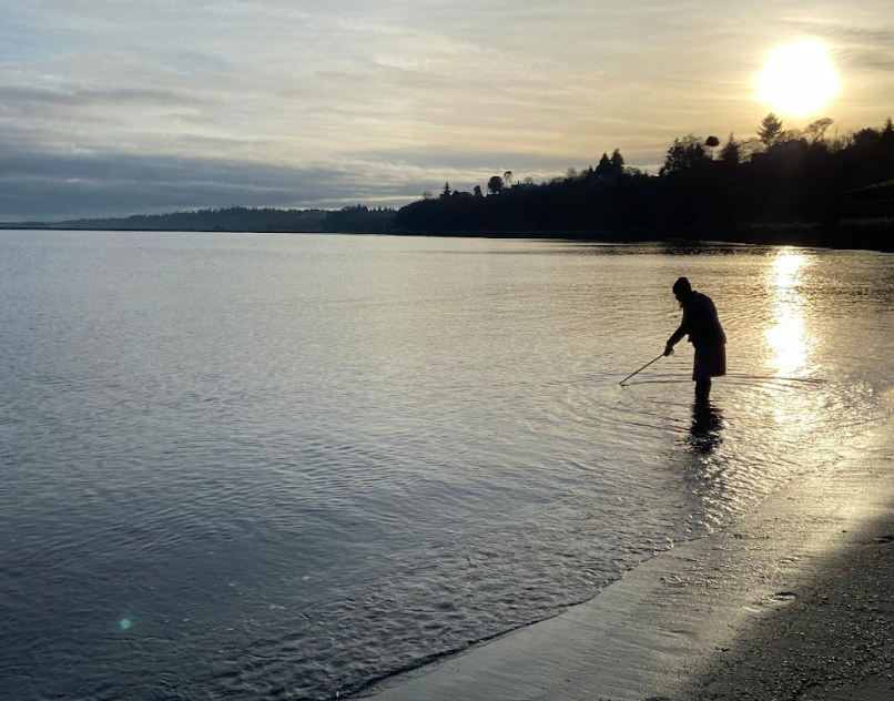 The silhouette of a volunteer collecting a water quality sample in calm waters at sunset