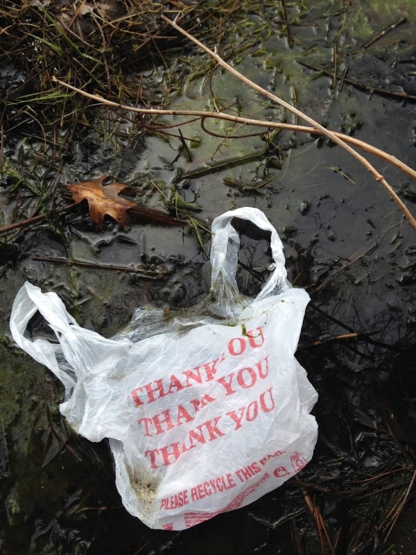 Plastic Bag In Pond