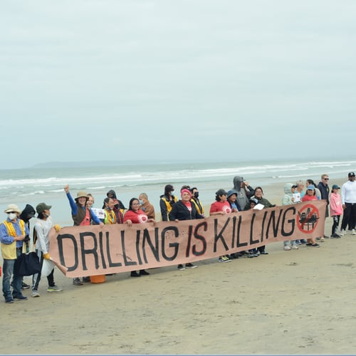 A long line of people stand on the beach with their backs to the ocean. The line of people hold a long banner made of brown paper with the words 