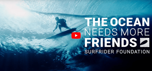 The Ocean Needs More Friends video still