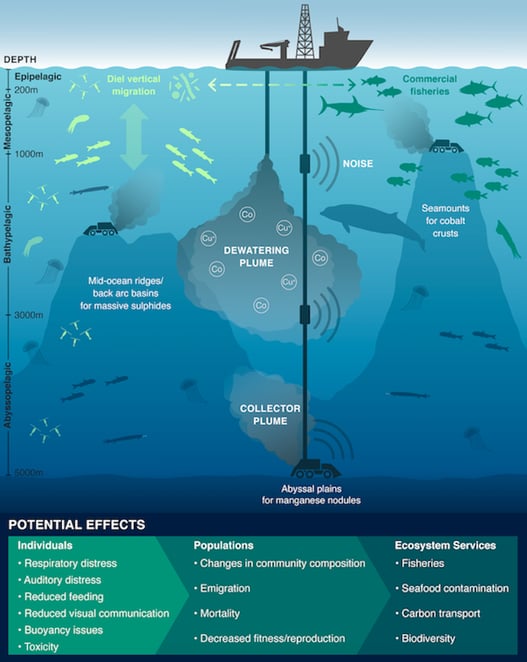 A graphic describing three types of seabed mining and the effects on different areas of the ocean and wildlife