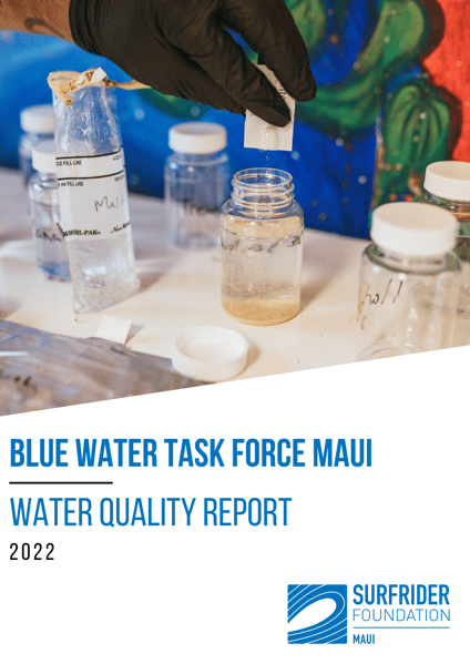 2022 BWTF Maui Report