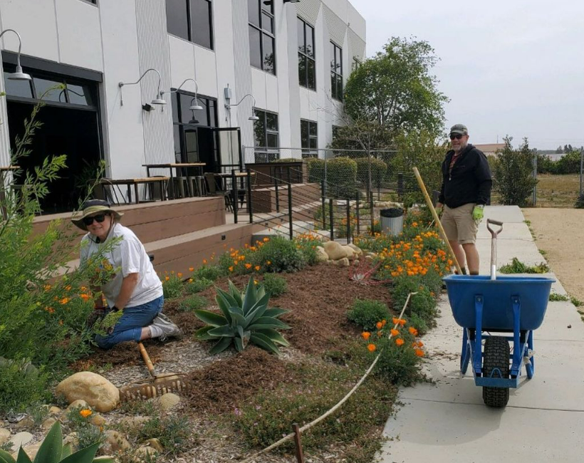 Ocean Friendly Gardens