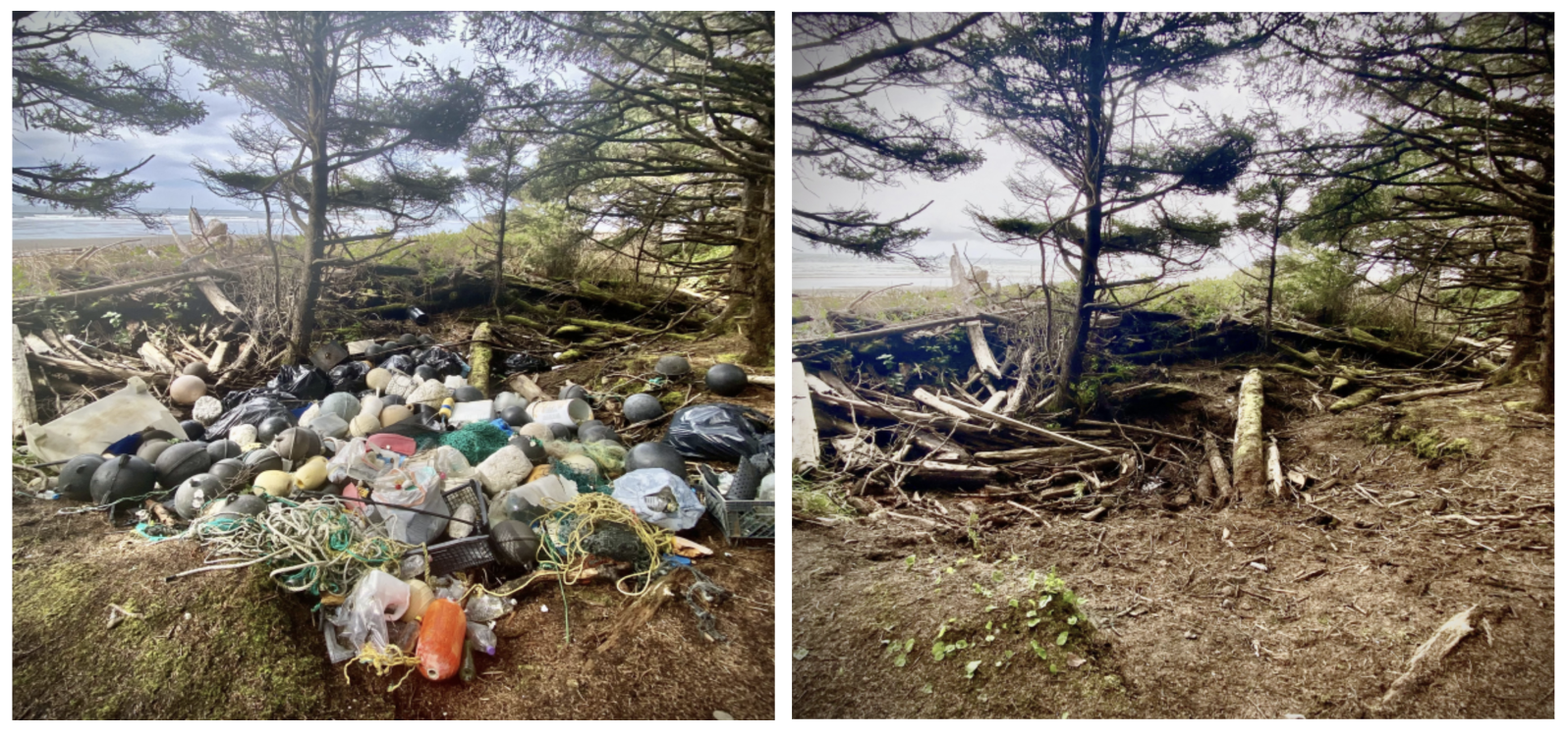 A before and after shot of a cache removal - a large pile of buoys and ropes under some coastal pines, and that same spot without trash