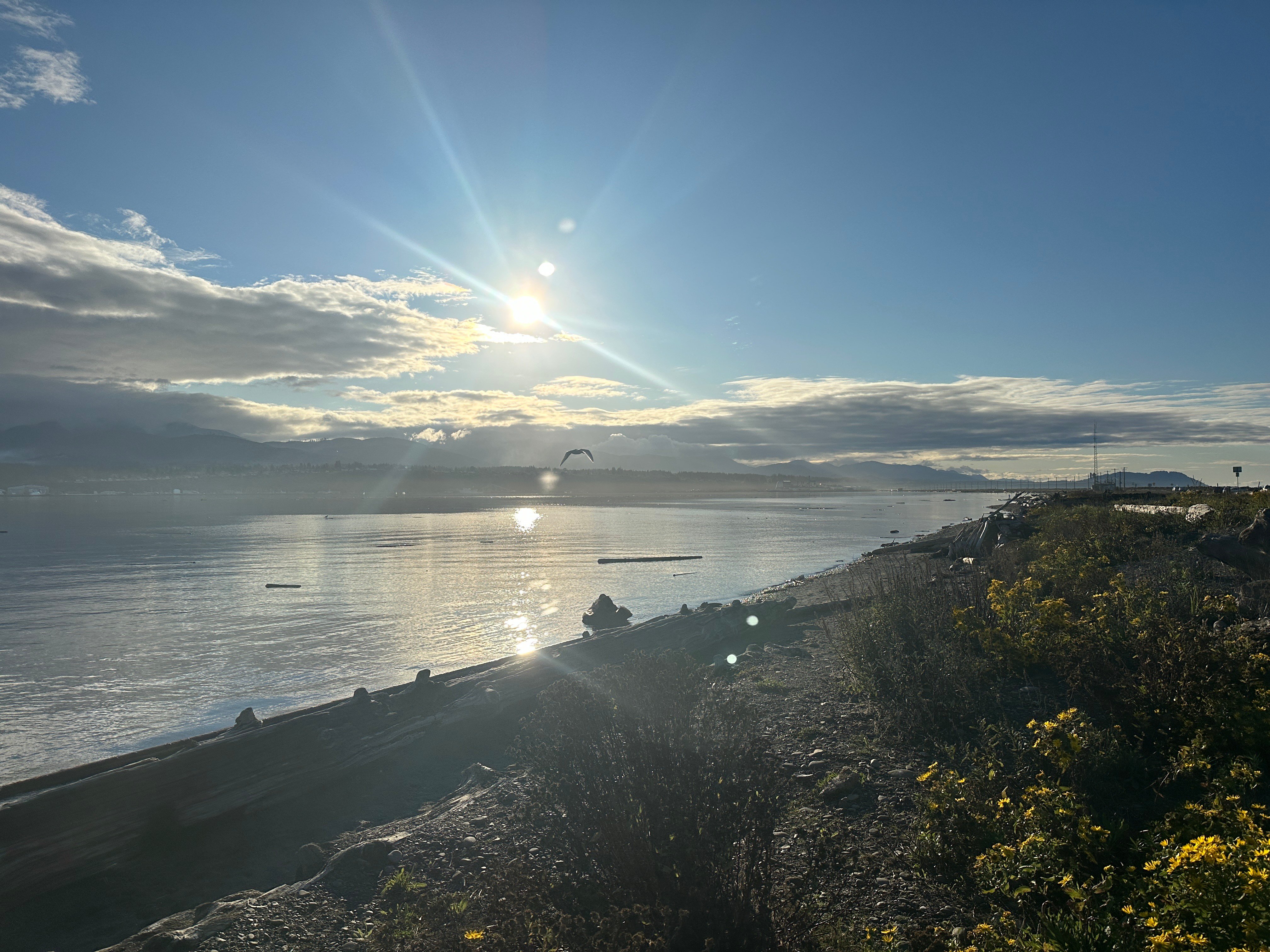 A view of the late afternoon sun glinting off the water along the Port Angeles waterfront