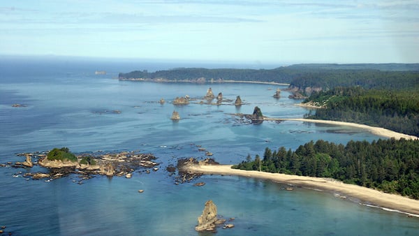 An aerial view of the Olympic Coast, with rocky outcrops fringed with sandy beaches pine trees