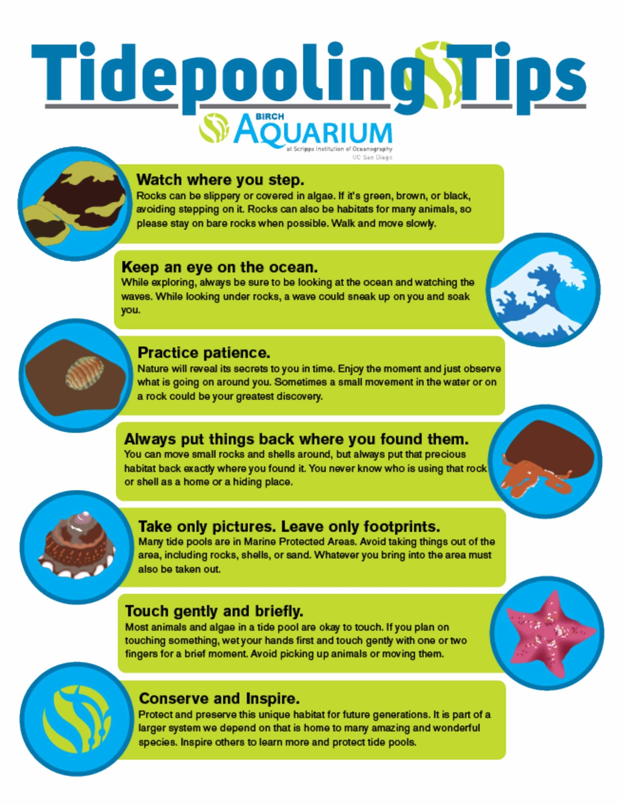birch-aquarium-tide-pool-tips