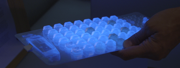 This quanti-tray shows wells containing a water sample mixed with a special reagent. The blue fluorescence under UV light indicates the presence and concentration of enterococcus bacteria. This method is used by Surfrider's Blue Water Task Force. 