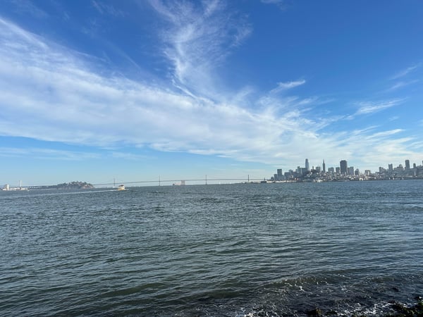 San Francisco skyline and the bay bridge