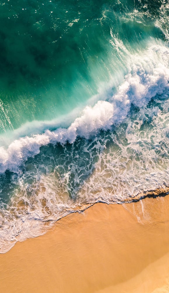 sean-PZGeqeiML0I-unsplash sean-PZGeqeiML0I-unsplash
