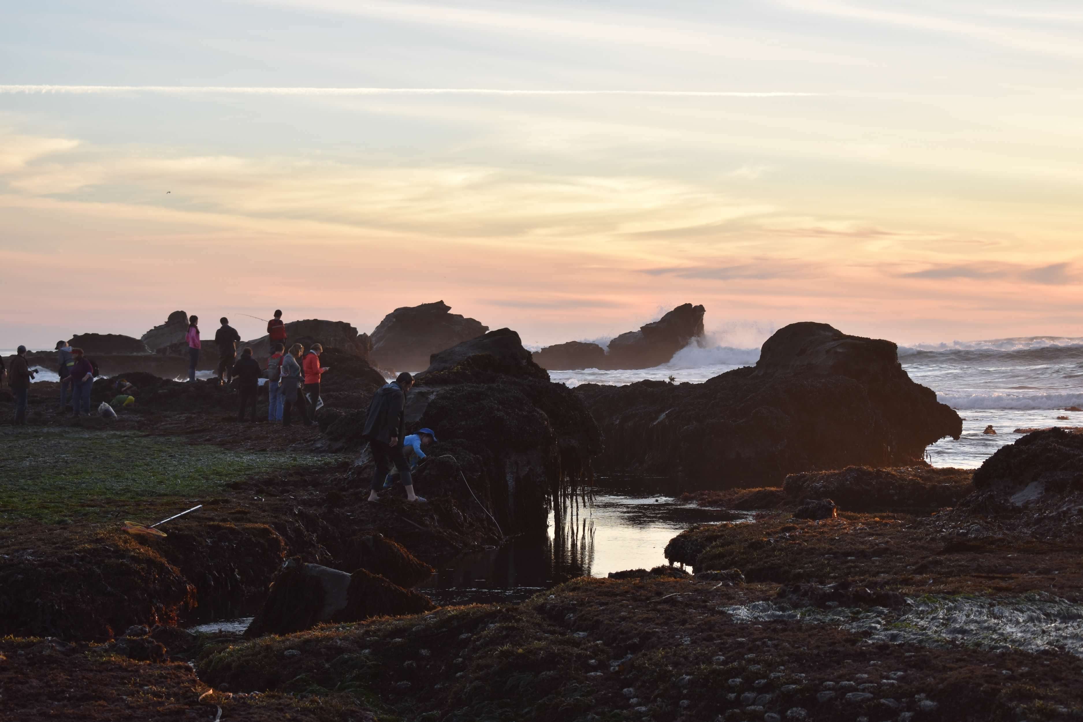 Tidepools at sunset