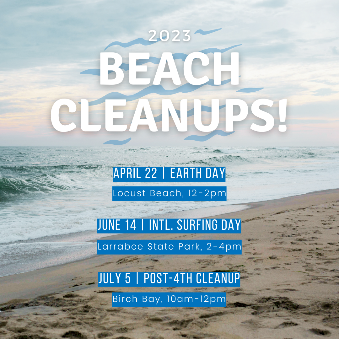 Beach Cleanup Schedule 2023