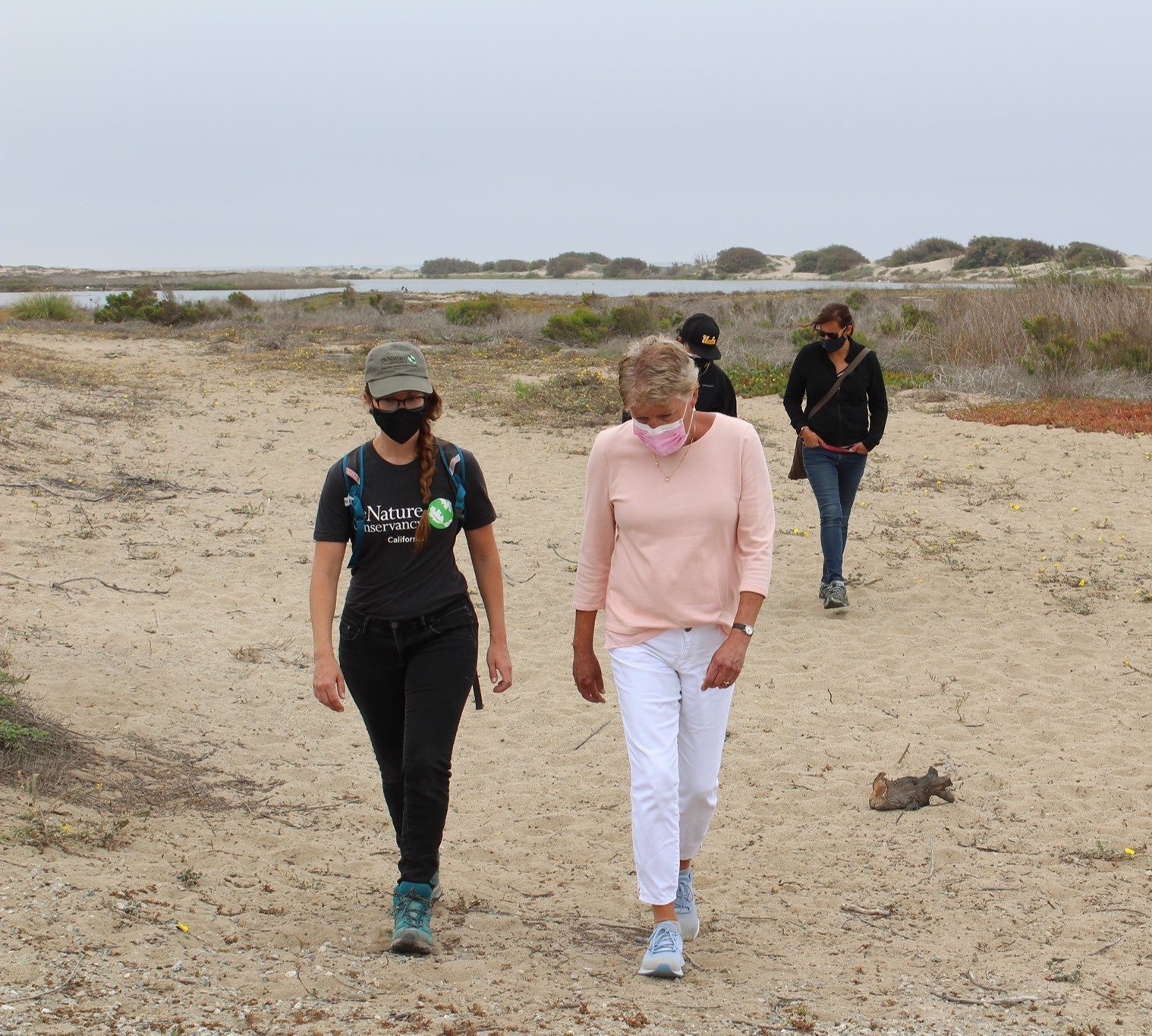 Volunteers walking through a beach cleanup site. 