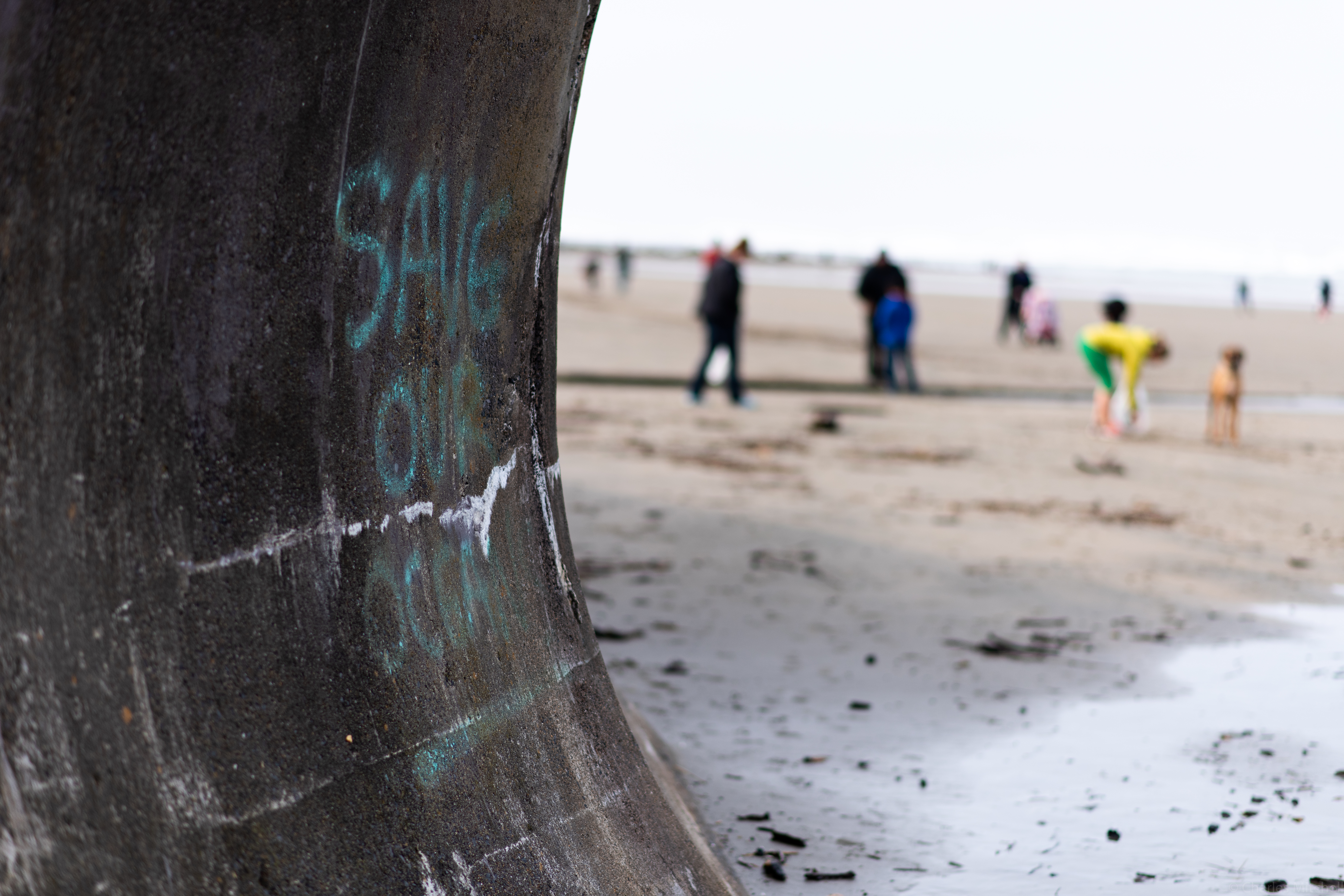 Graffiti that reads save our ocean and volunteers cleaning up the beach