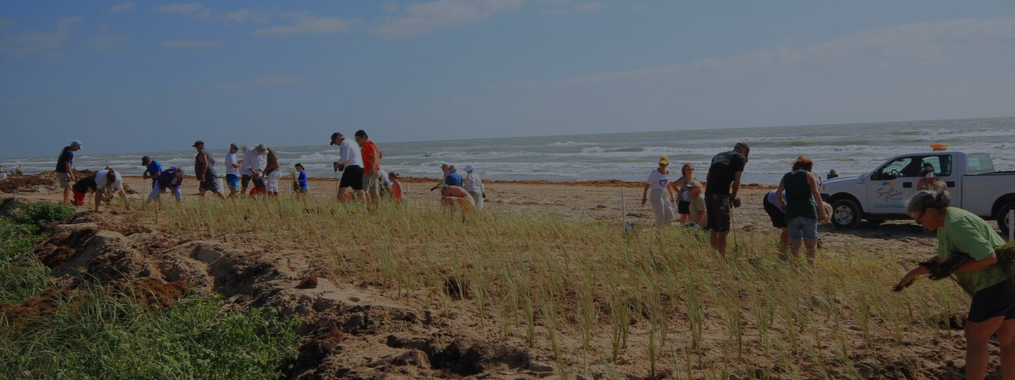 Volunteers picking up trash at a beach cleanup