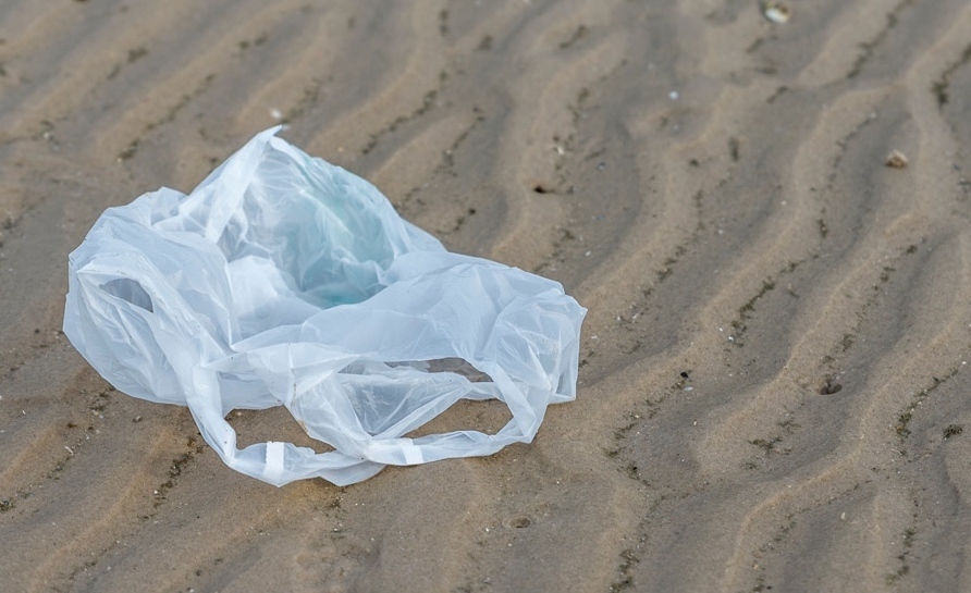 A piece of litter on the beach