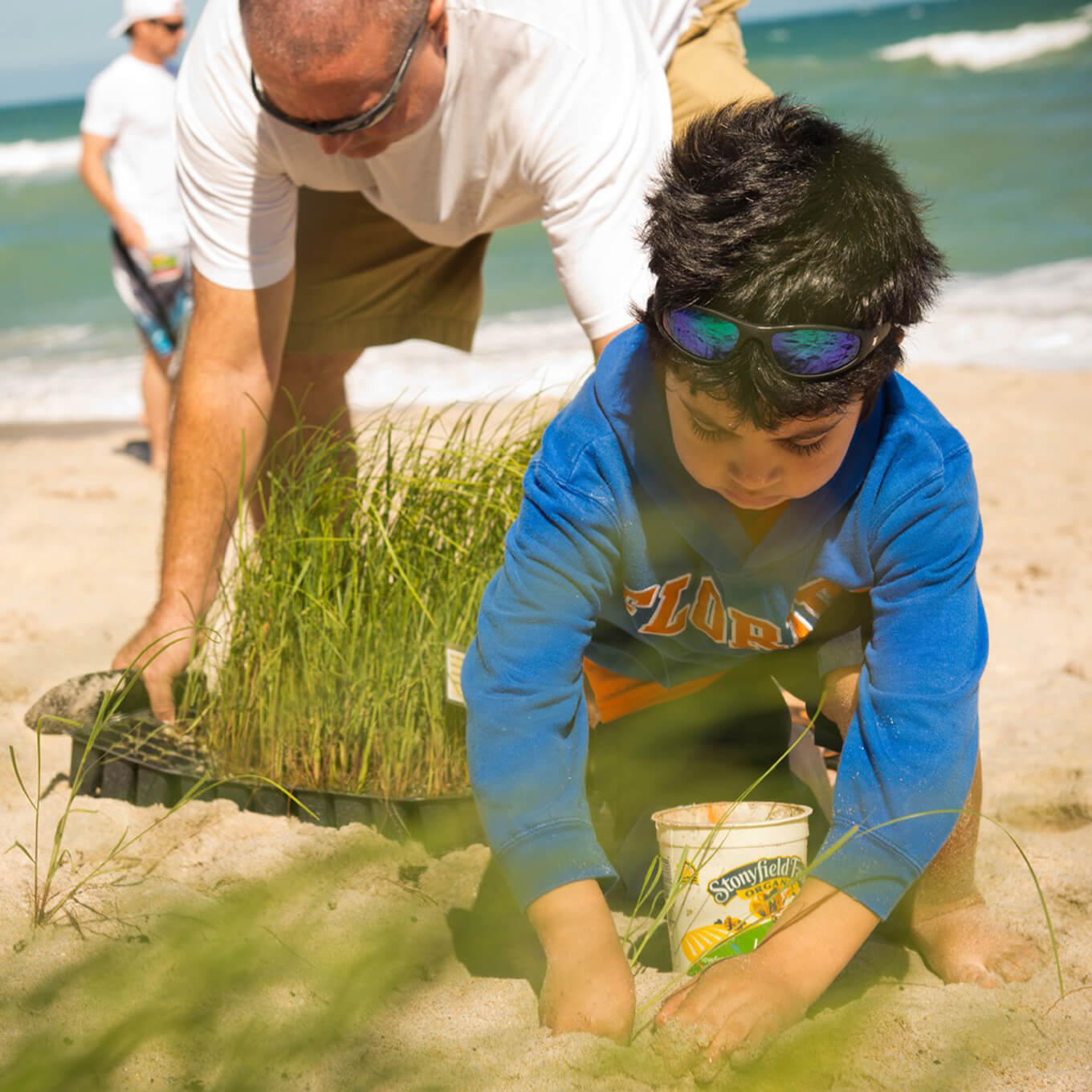 Coastal dune restoration in Florida