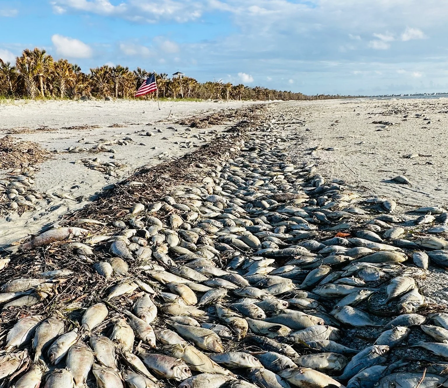 Florida: Advocating for clean water and a resilient future in the ...