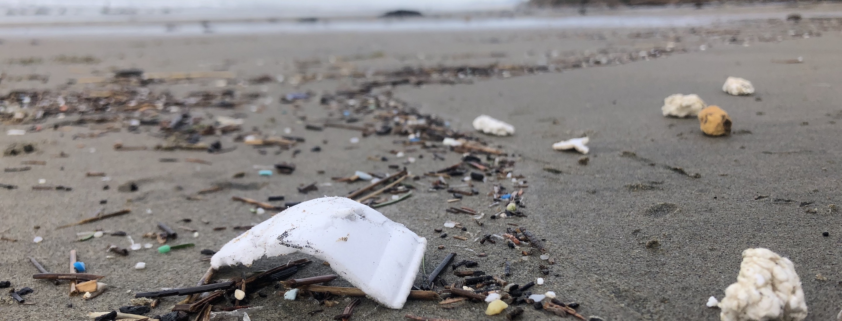 Foam pollution on Oregon beach