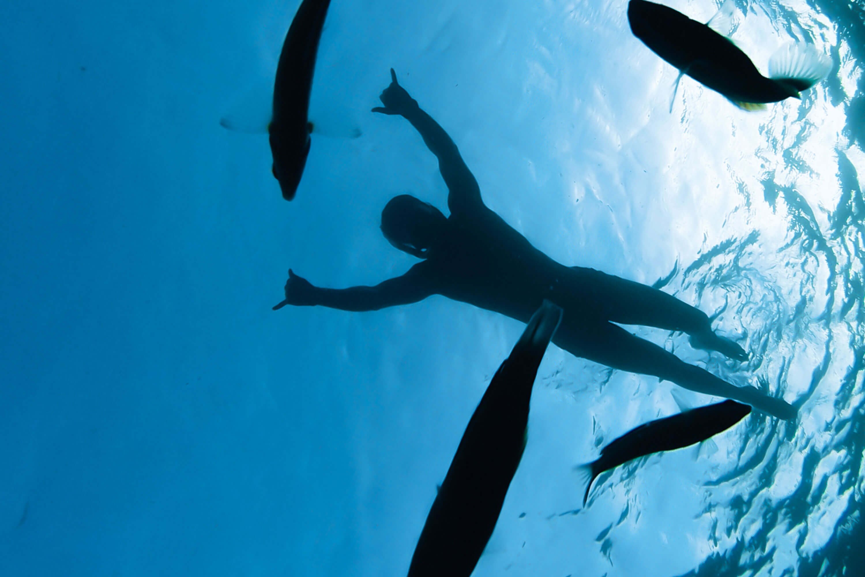 A silhouetted photo of a man swimming among a school of fish.