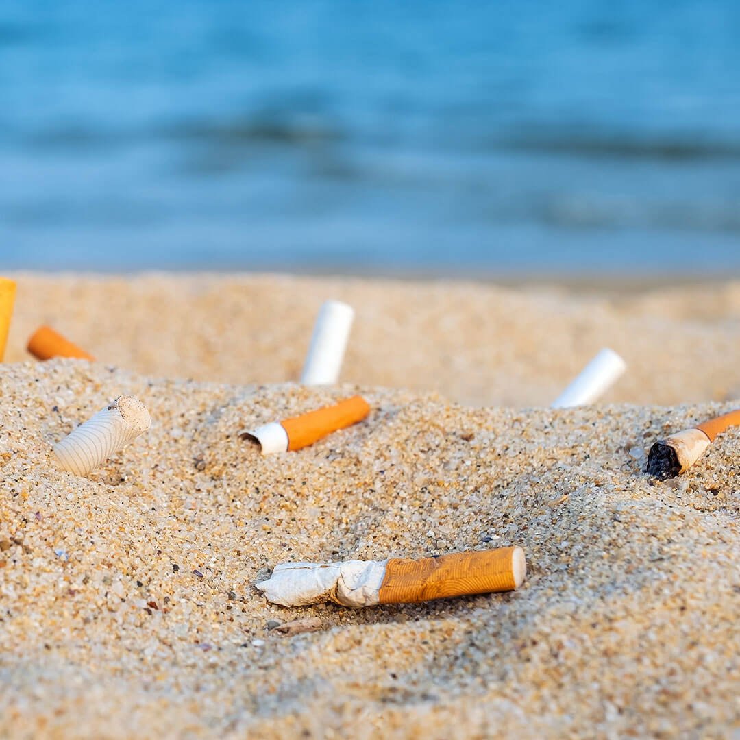 cigarette butts littered on the beach