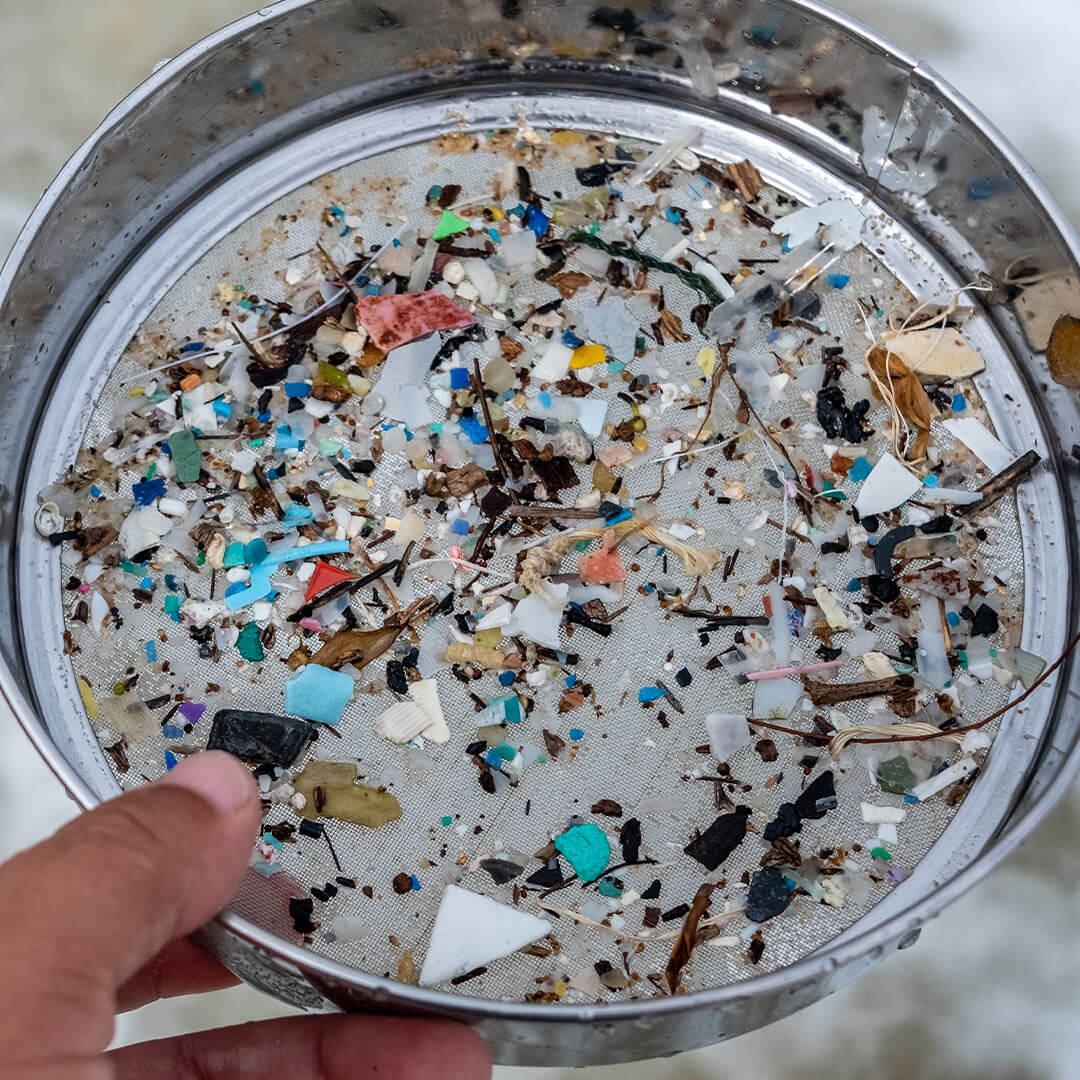 micro-plastics collected from the beach