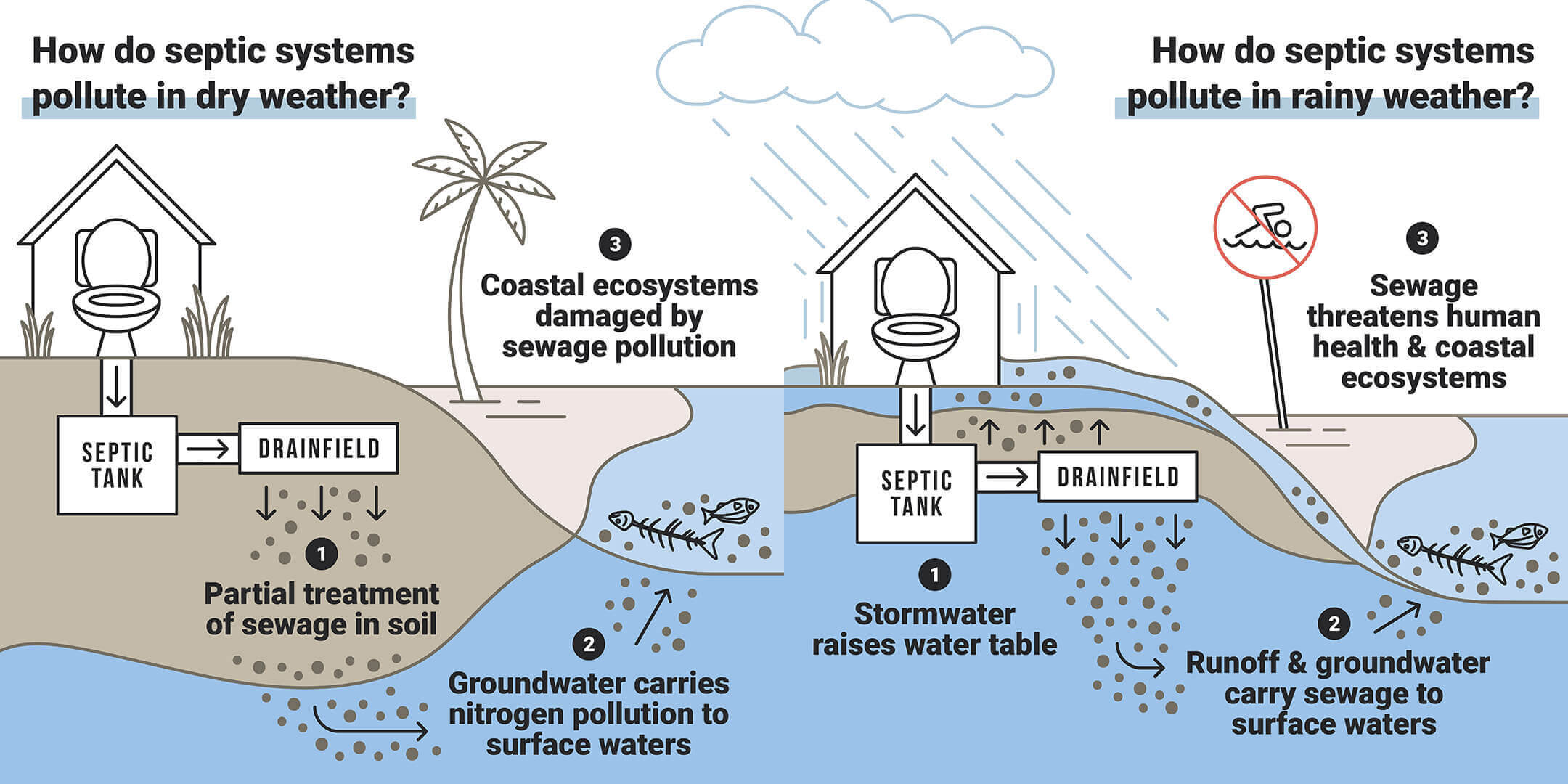 infographic showing how septic systems pollute coastal waters