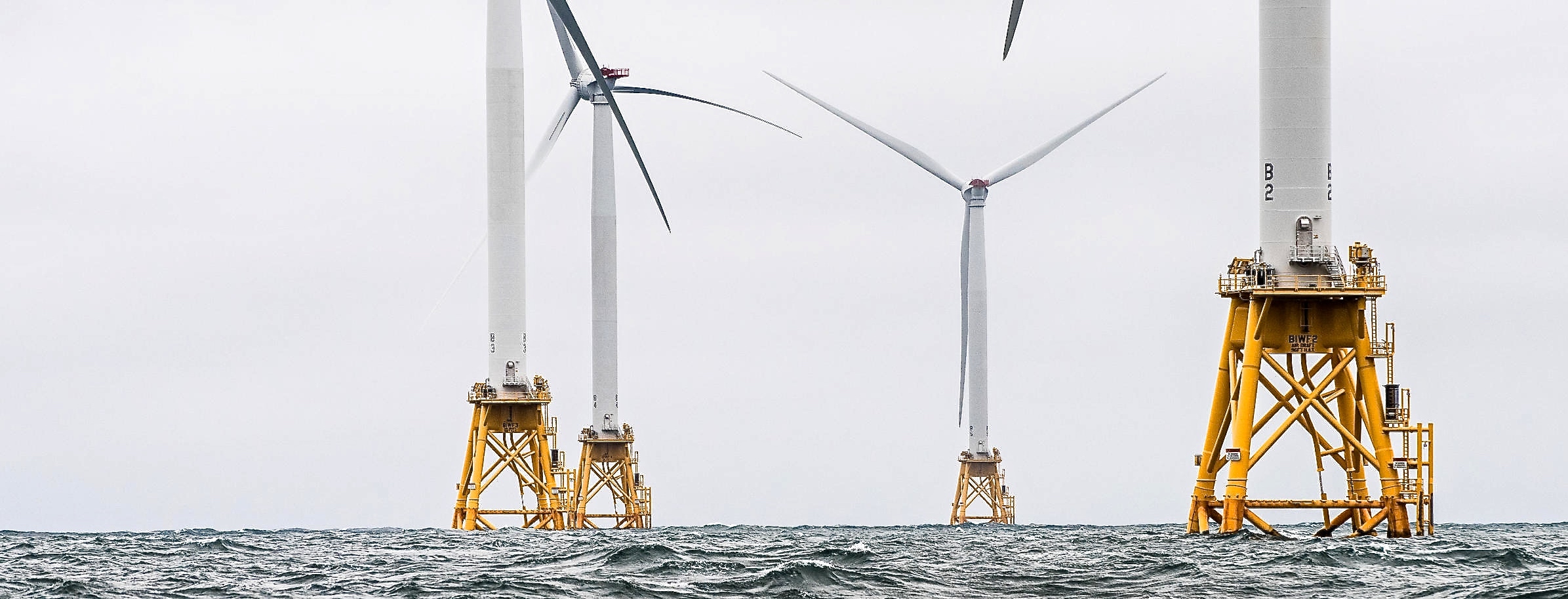 Offshore wind critics call for investigation of New Jersey whale strandings