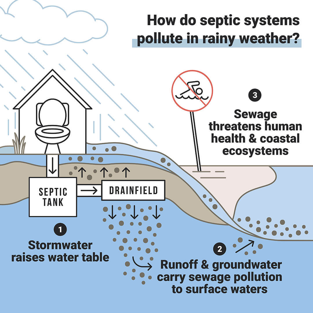 How do septic systems pollute coastal watersheds