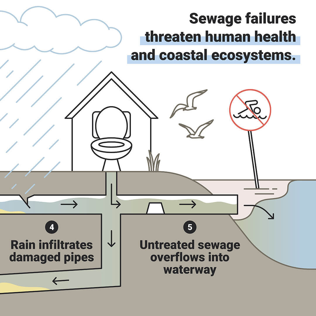 What are the causes of WWTP overloading - Netsol Water