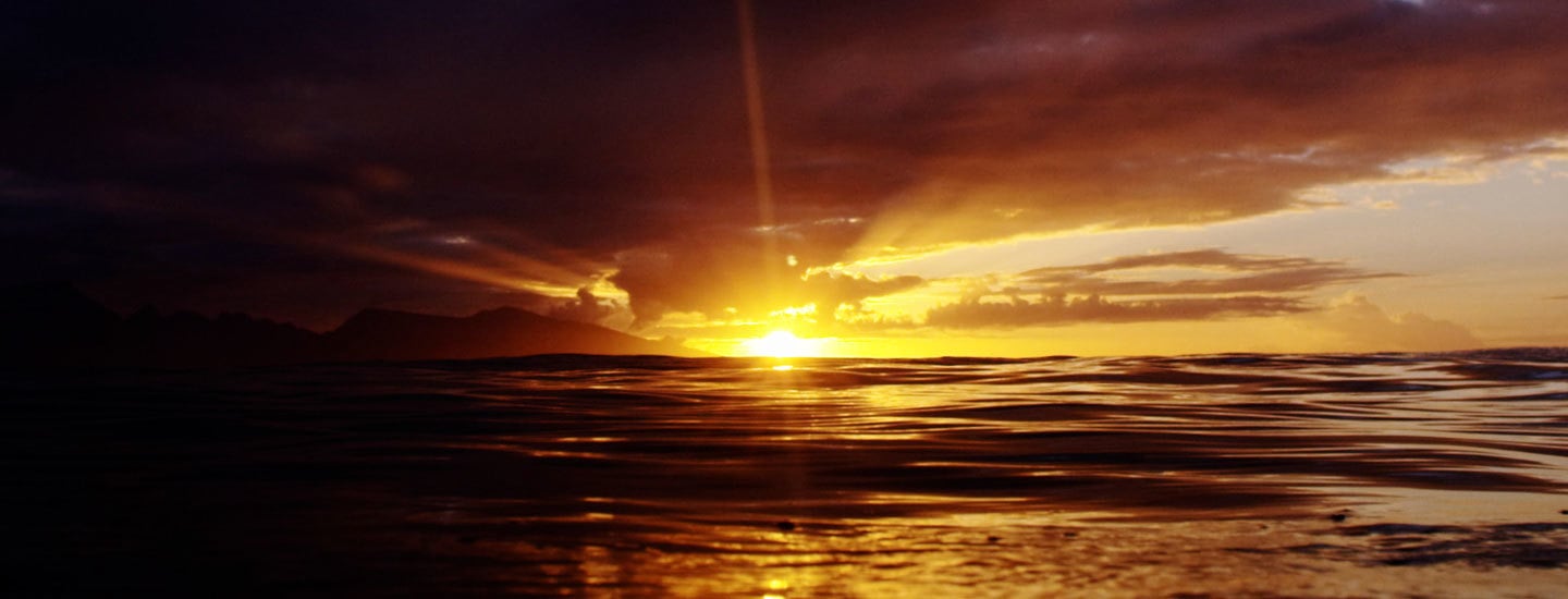 Remembering Peter Cole