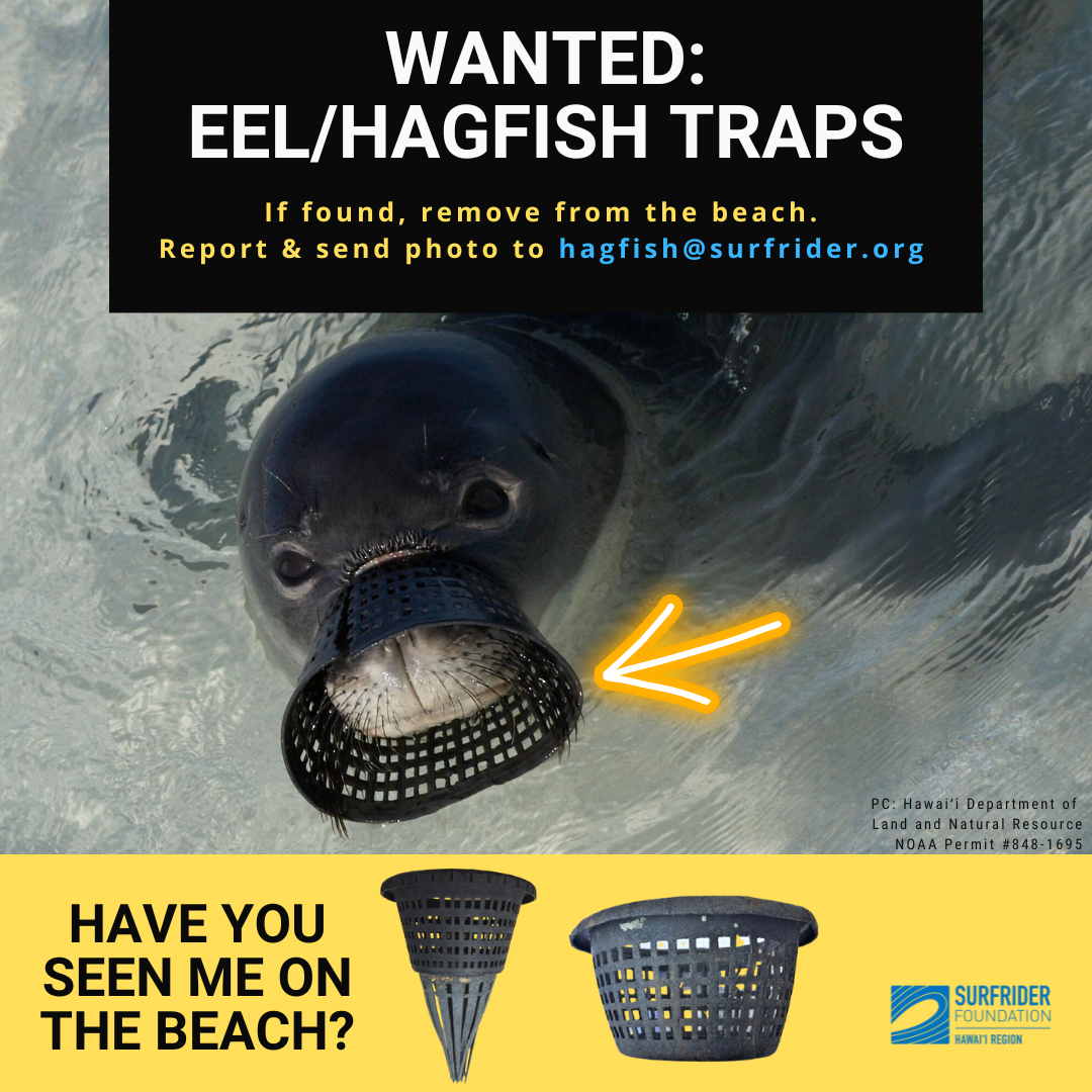 North Pacific Eel Trap Project