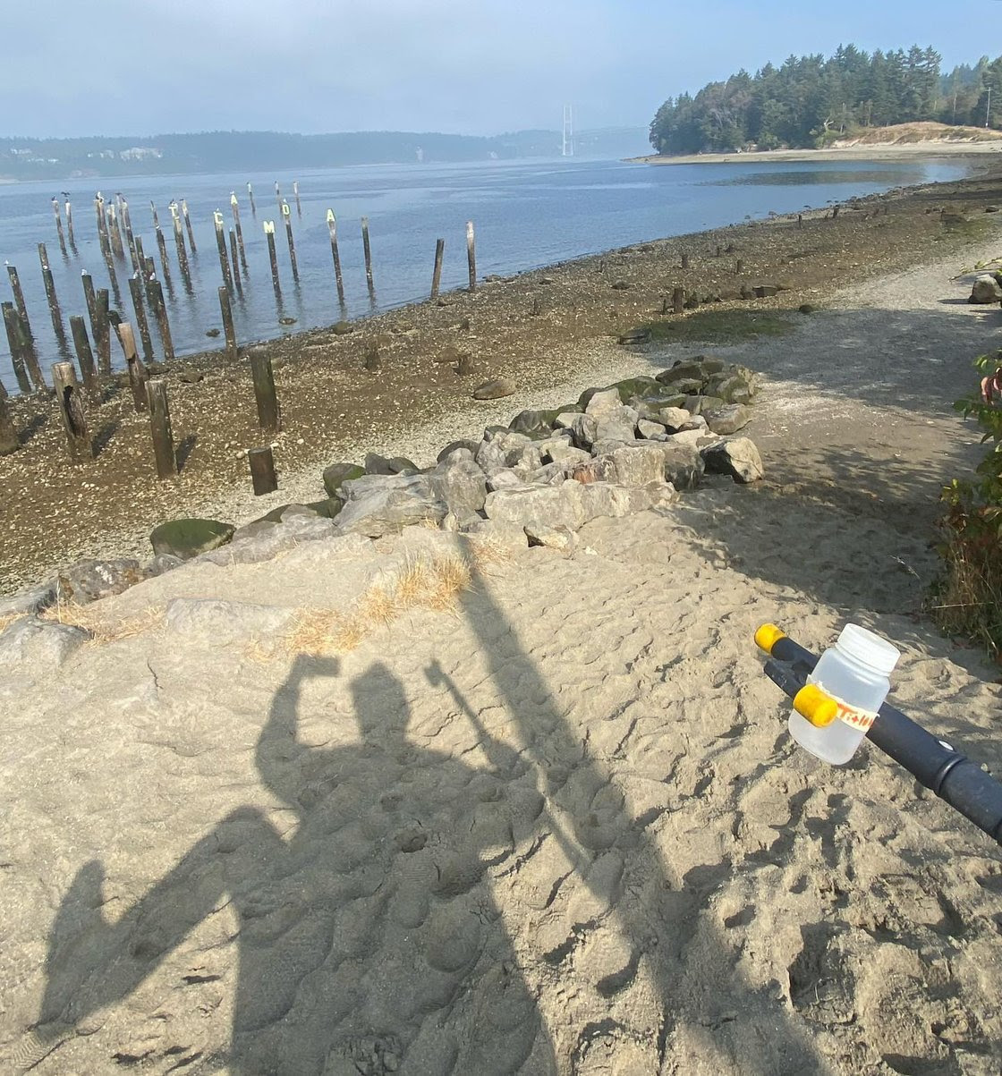 A volunteer's shadow on the sand as she collects a water quality sample 