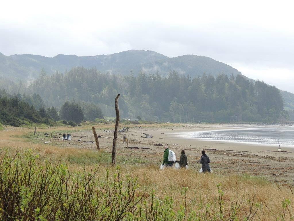 Volunteers combing the beach for debris on what we call a sunny day on the Olympic Coast
