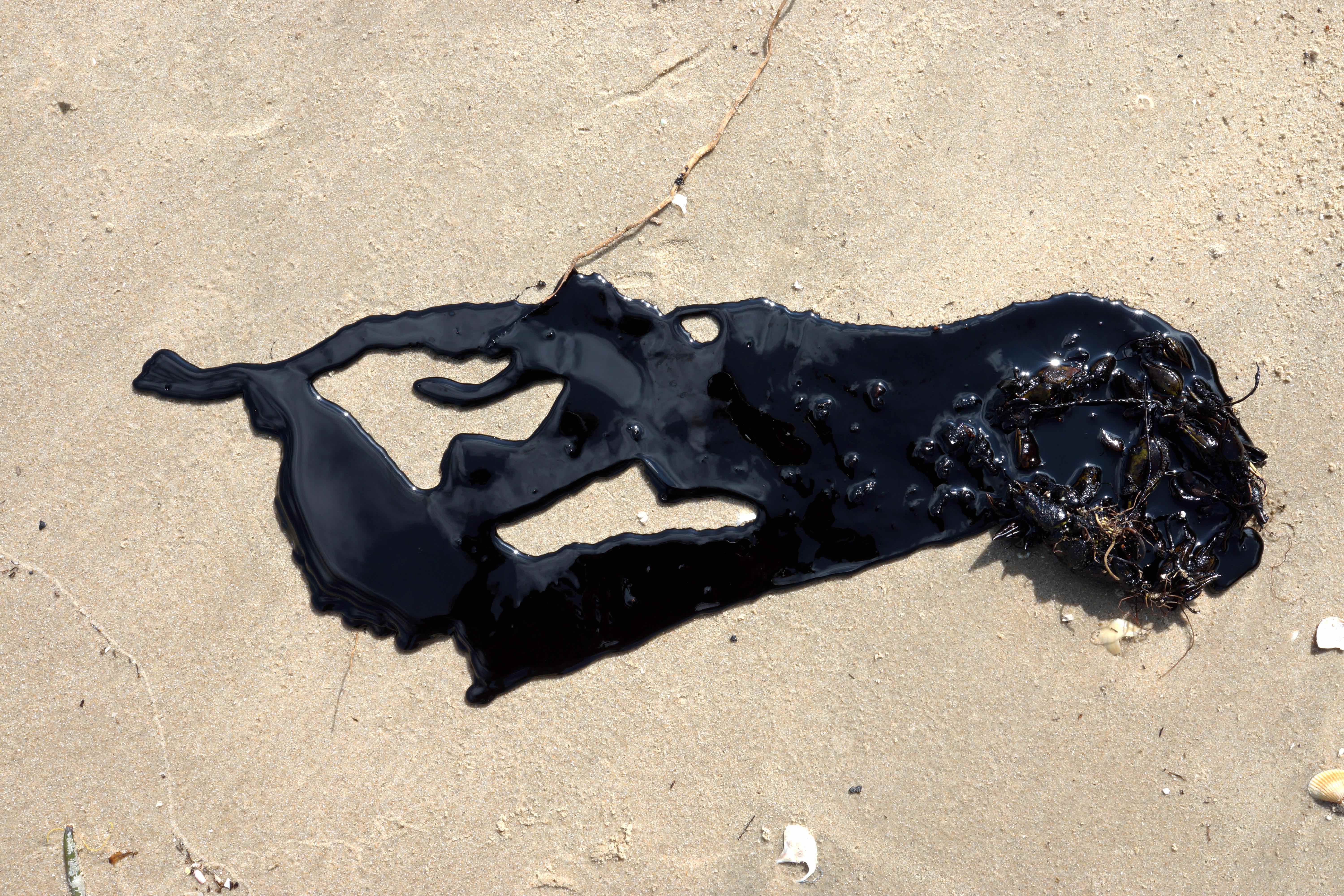 Tar washed up on the beach