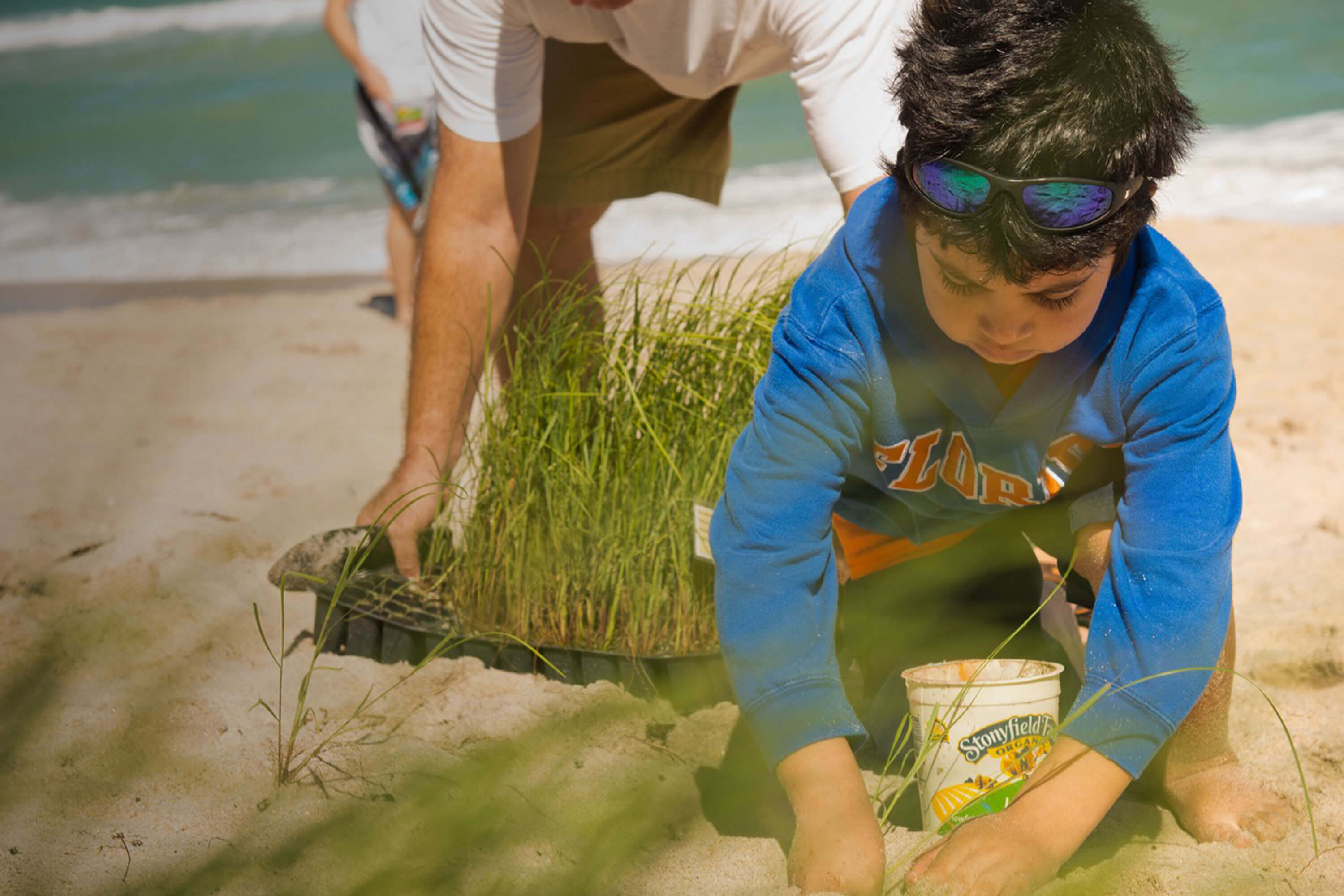 A parent and child work together to plant dune grass.