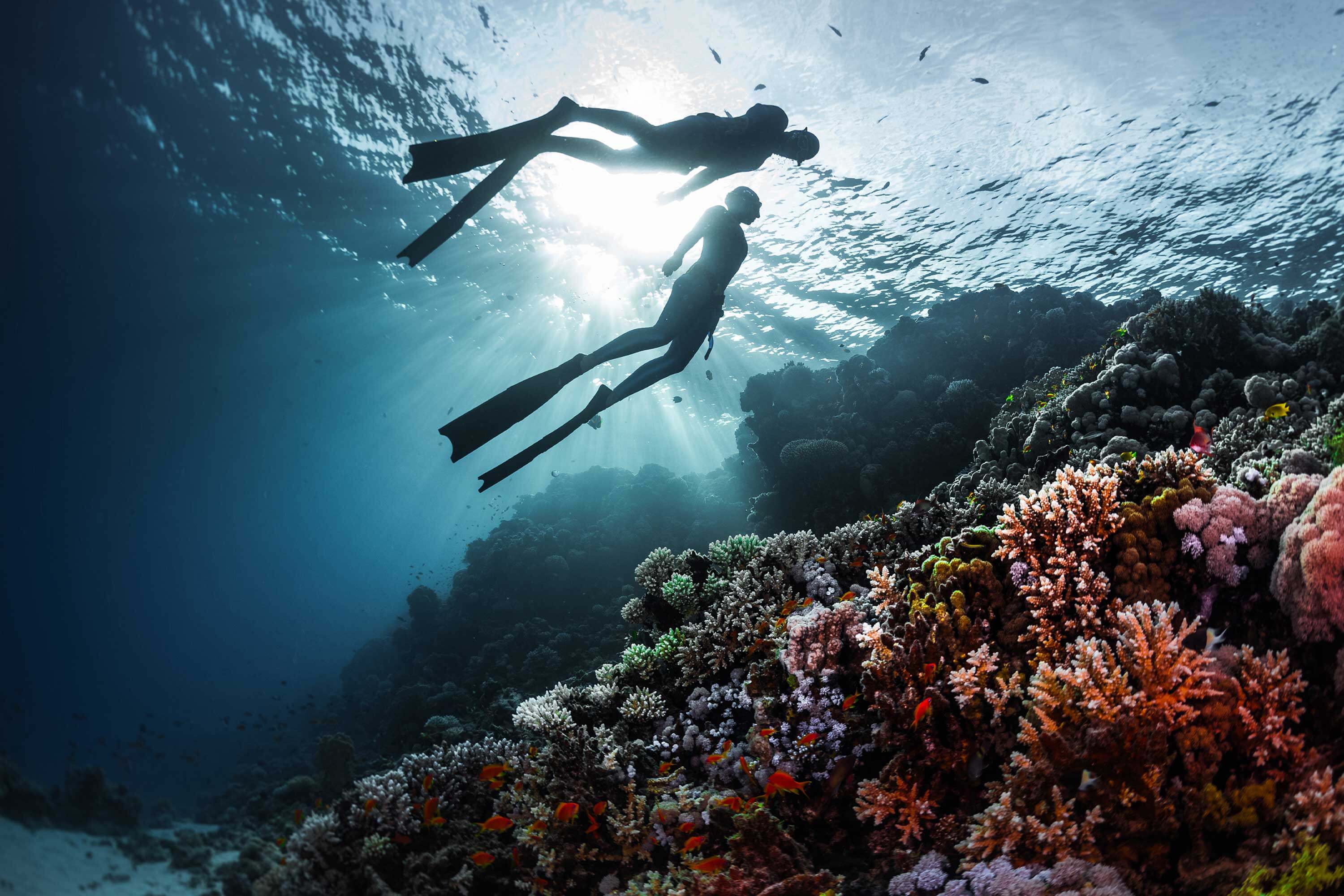 Two people are under water looking at coral reef
