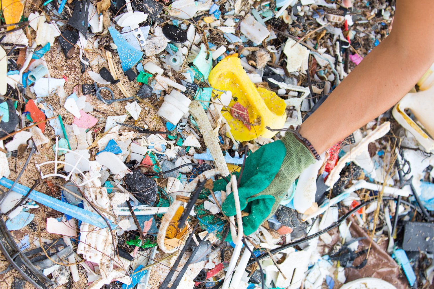 Kahuku Point Plastic pollution