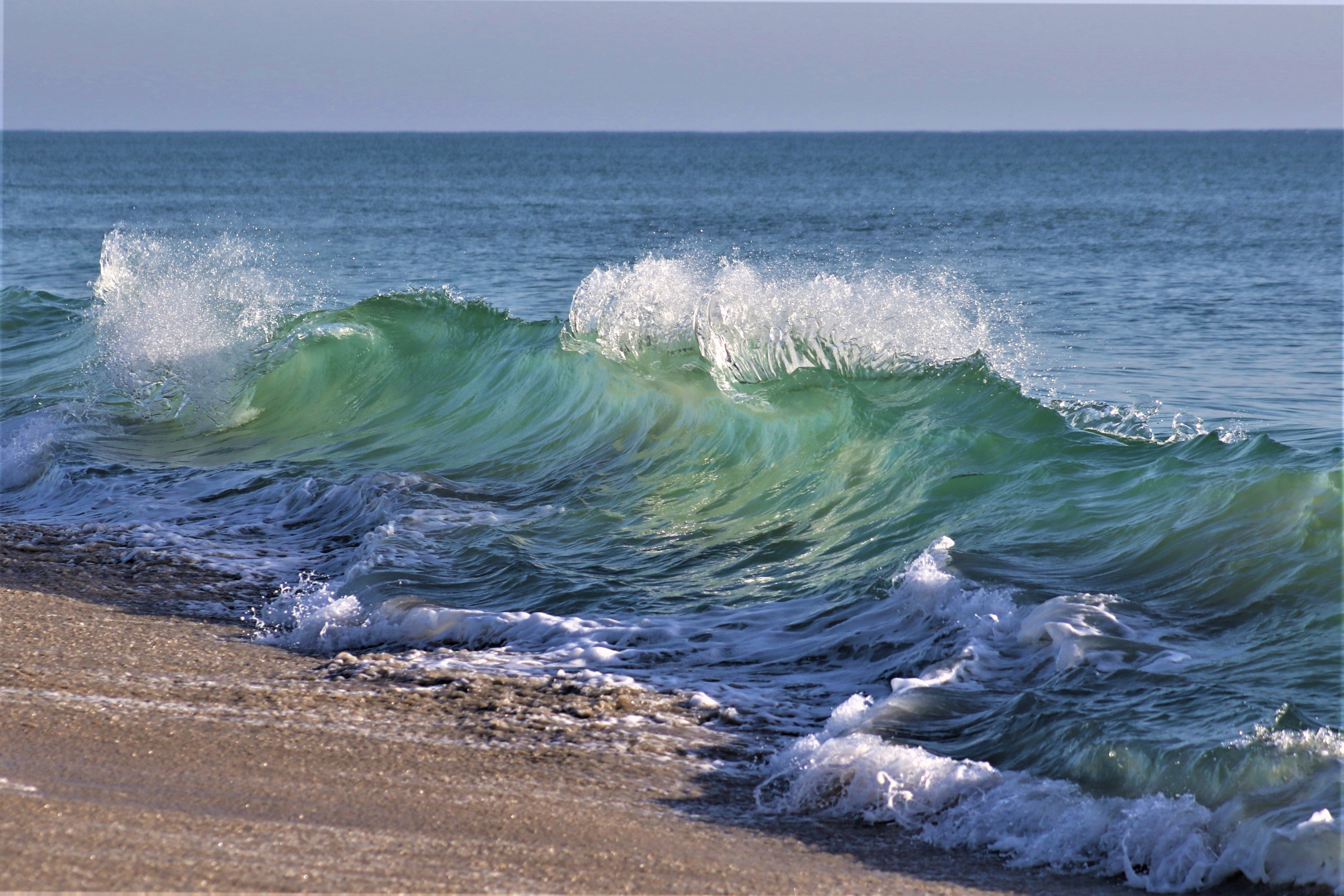 Beach Wave