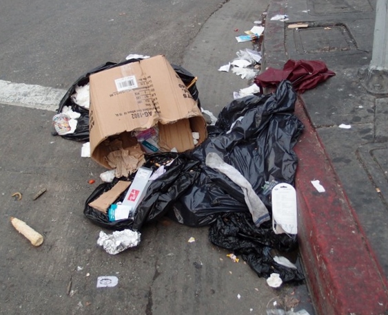 Trash in street, CA