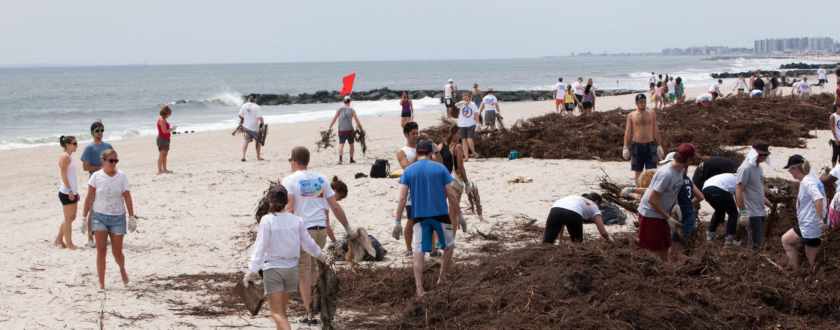 BeachCleanup