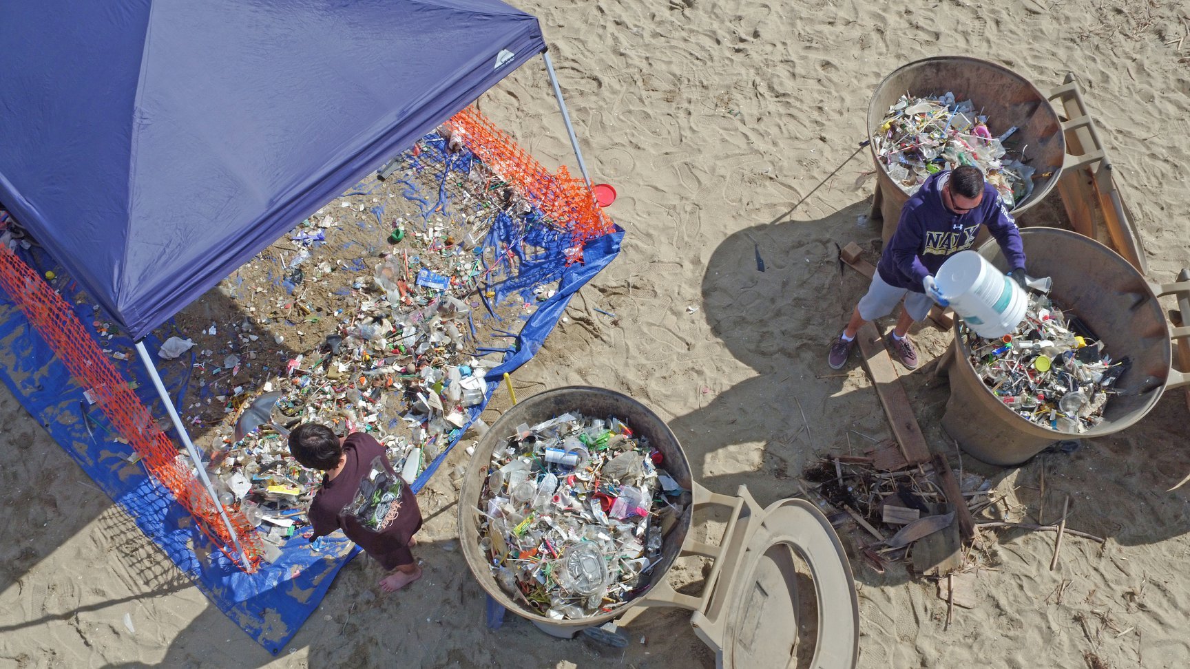 Beach Cleanups