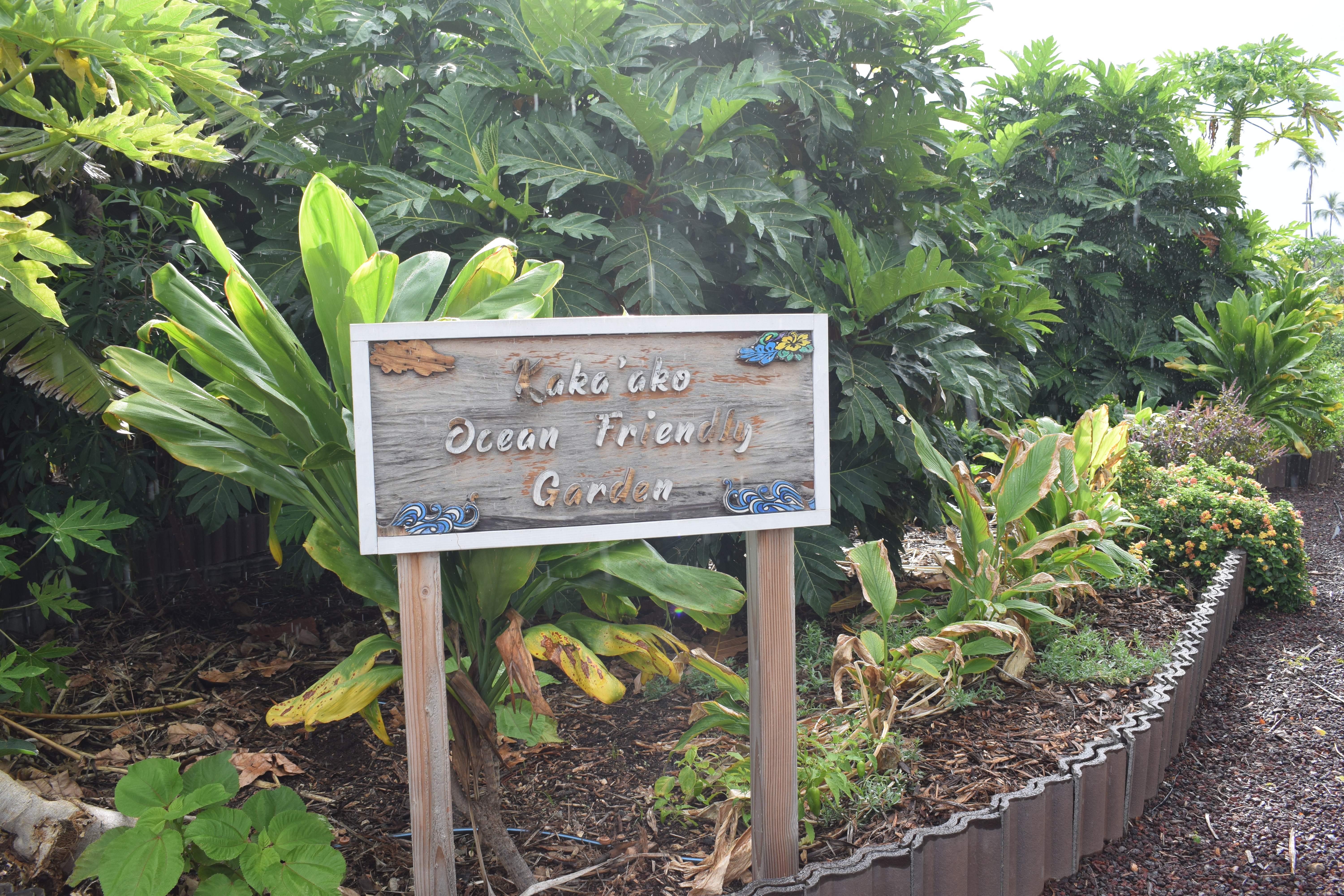 Photo of Surfriders Ocean Friendly Garden