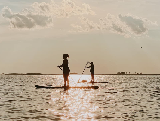 Two paddleboarders paddling in the sun