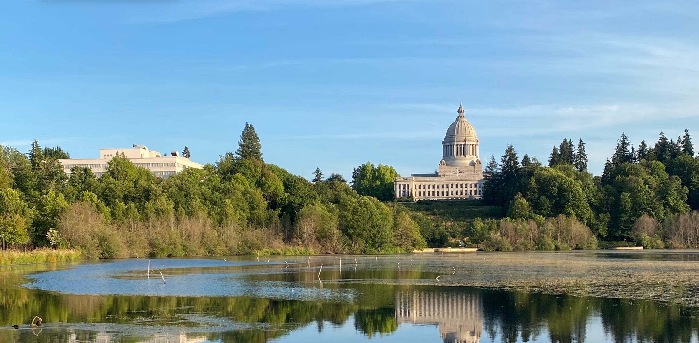 A view of the capitol building reflected in capitol lake, surrounded by green trees