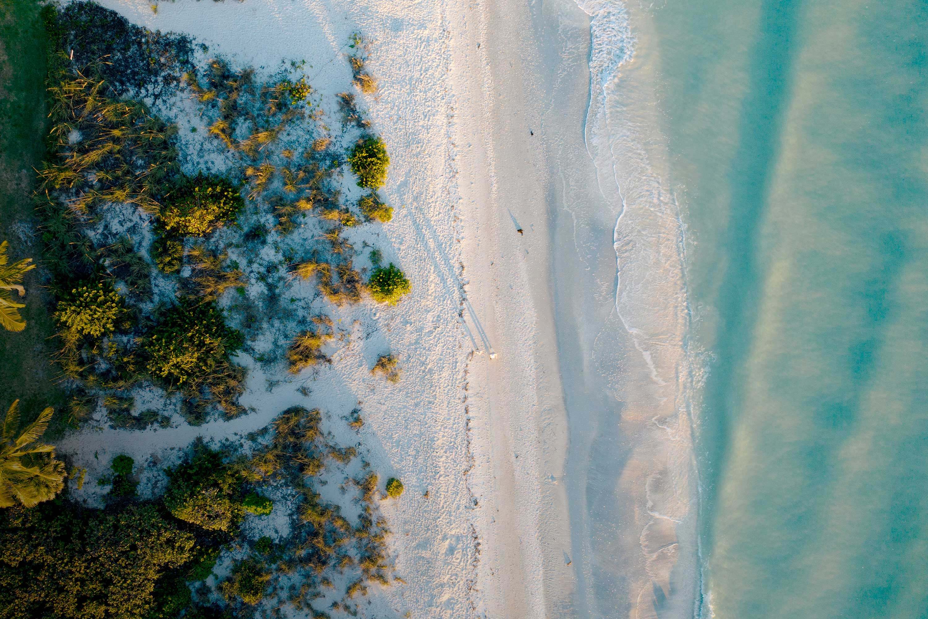 Overhead shot of the Florida coast. Bushes line the beach on the left, and a person is walking down the center of the photo just in front of the water.