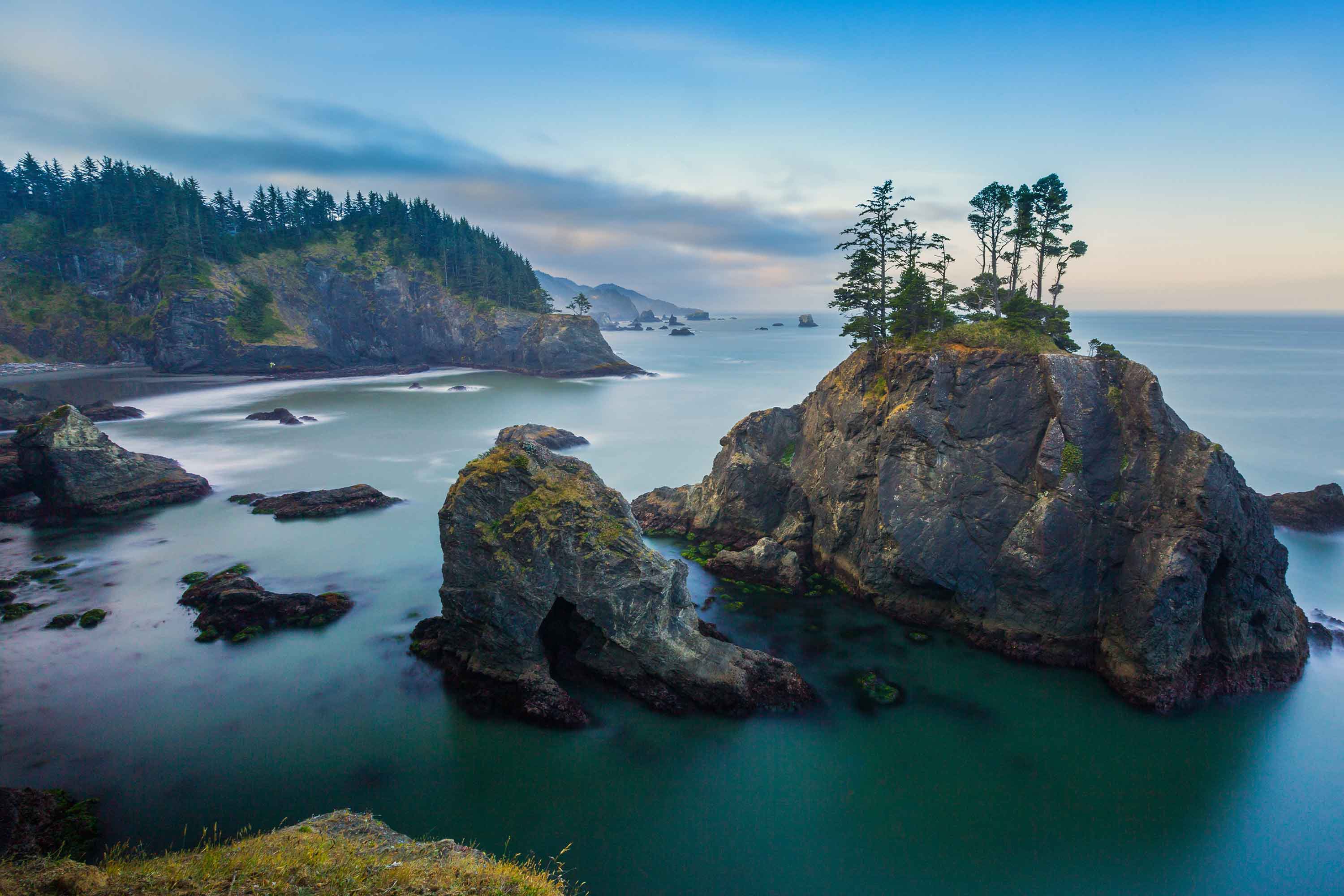 Trees and rocks along the Oregon coast