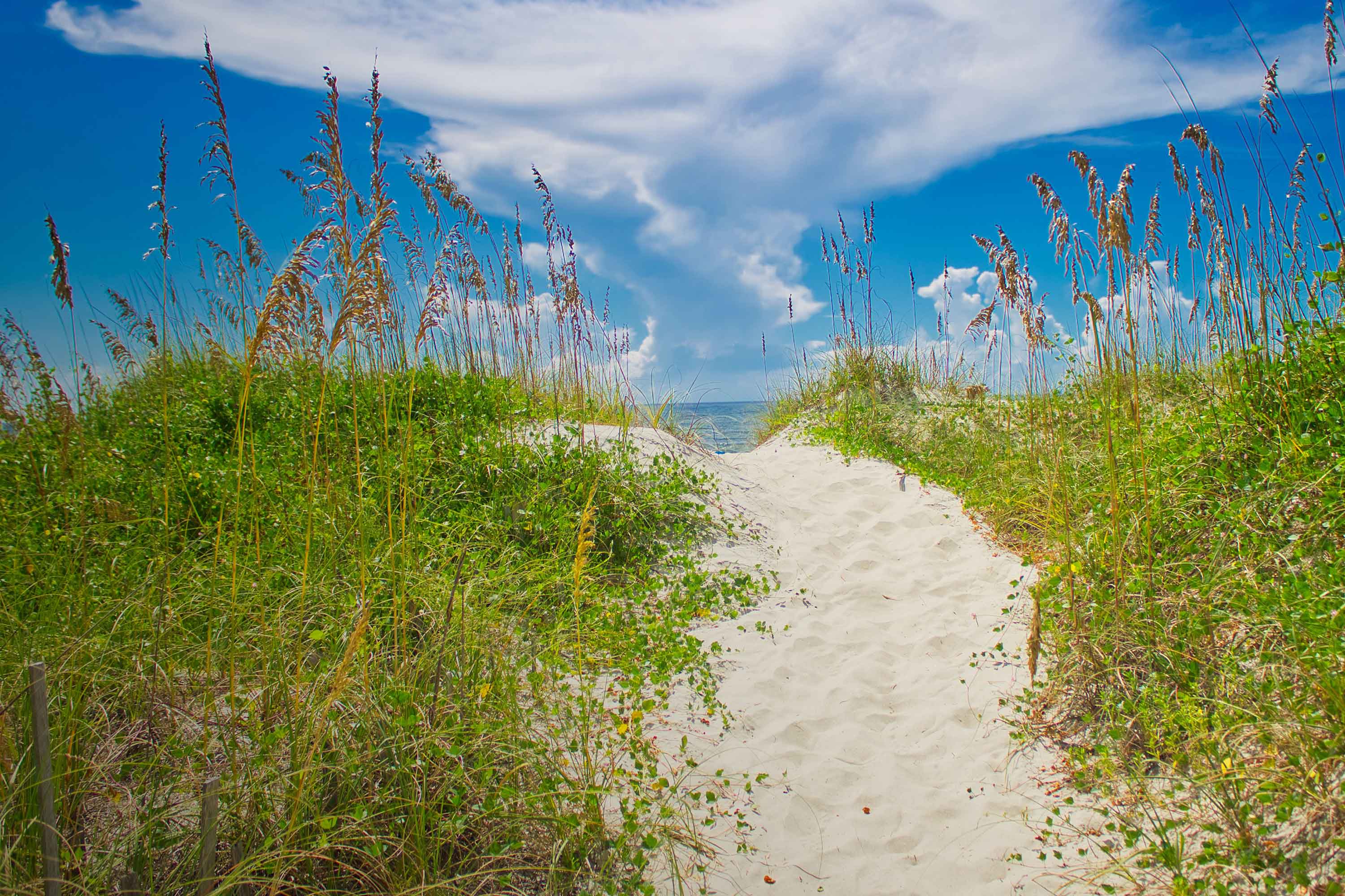 Sandy Dunes in the South Eastern United States
