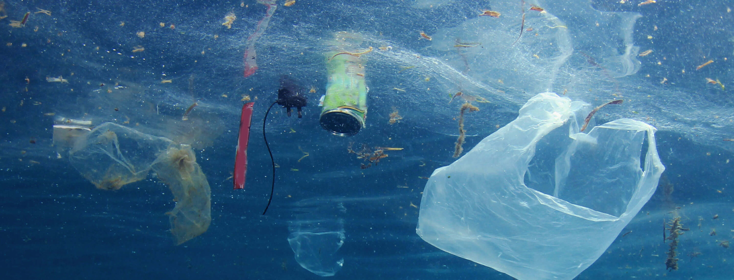 Pass a San Diego County Plastic Reduction Ordinance
