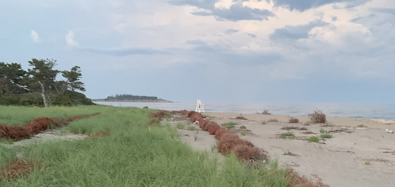 Popham Beach Dune Restoration